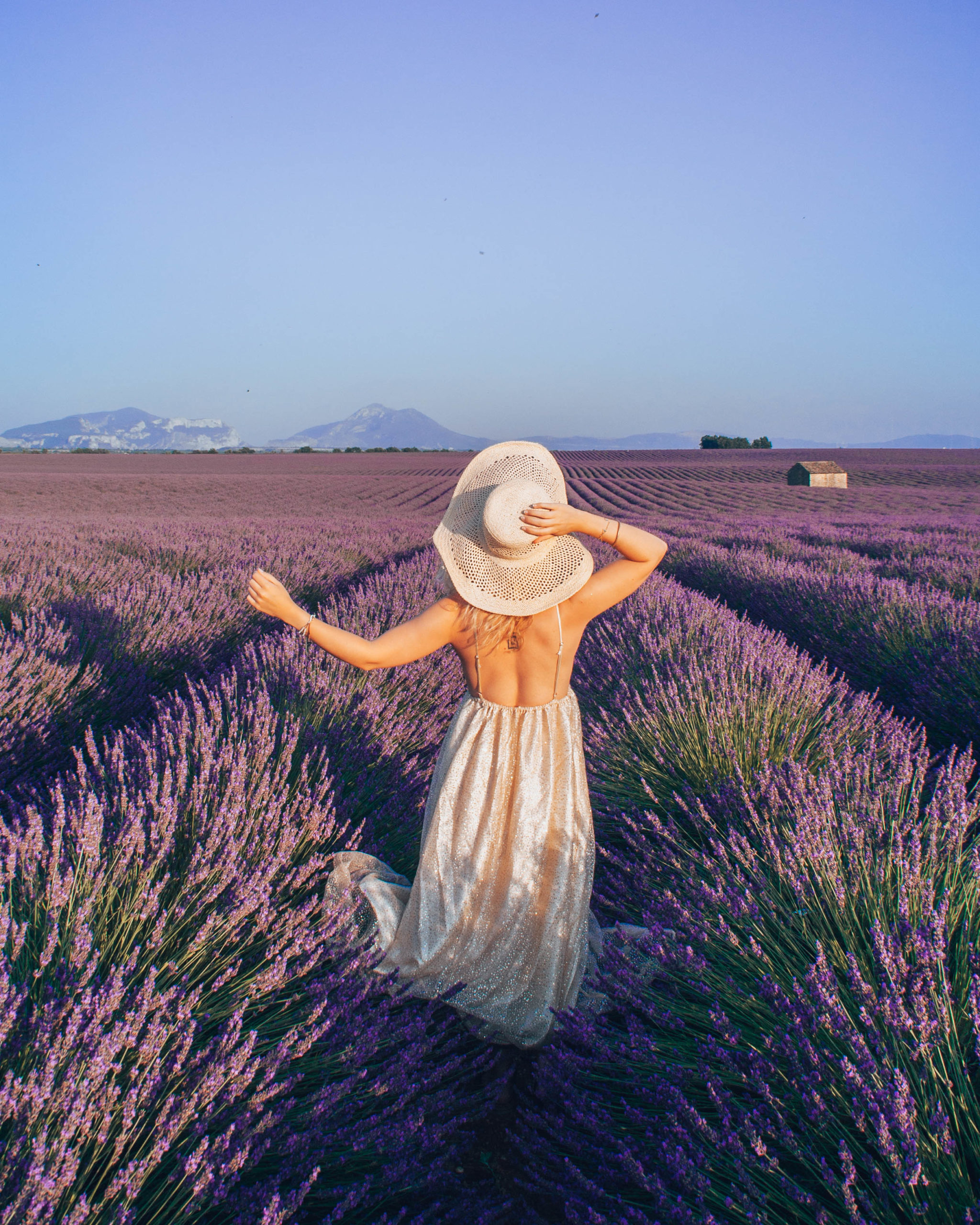 Khung cảnh đồng hoa oải hương tại Provence cực kỳ tuyệt đẹp và hút mắt. Nếu bạn yêu thích vẻ đẹp thiên nhiên tinh khiết, hãy xem bức ảnh tuyệt đẹp này liền thôi!