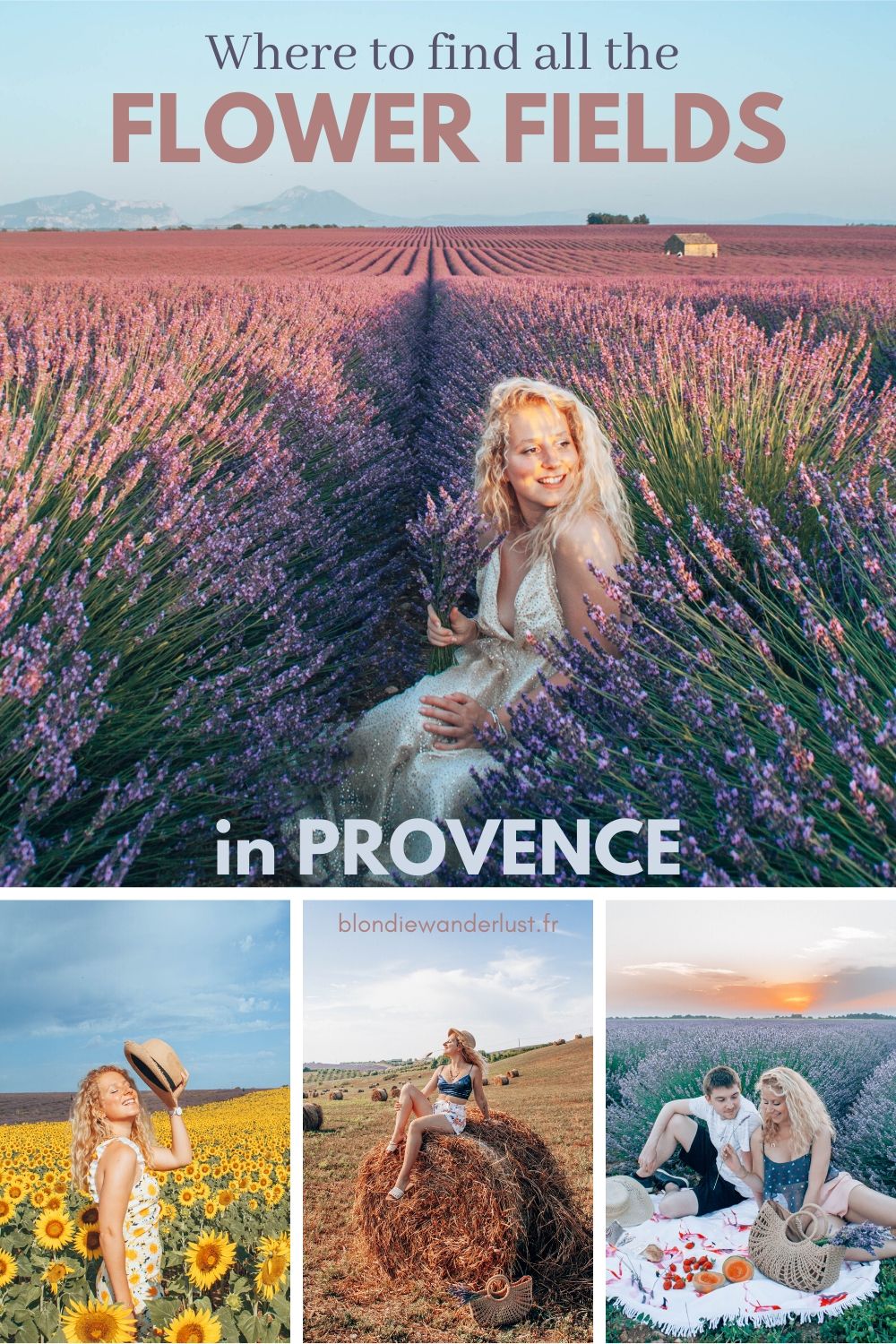 Where to find all the flower fields in Provence, France