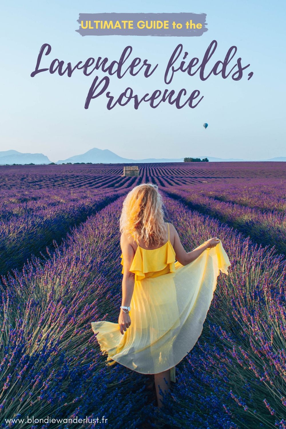 Ultimate guide to find the lavender fields in Provence