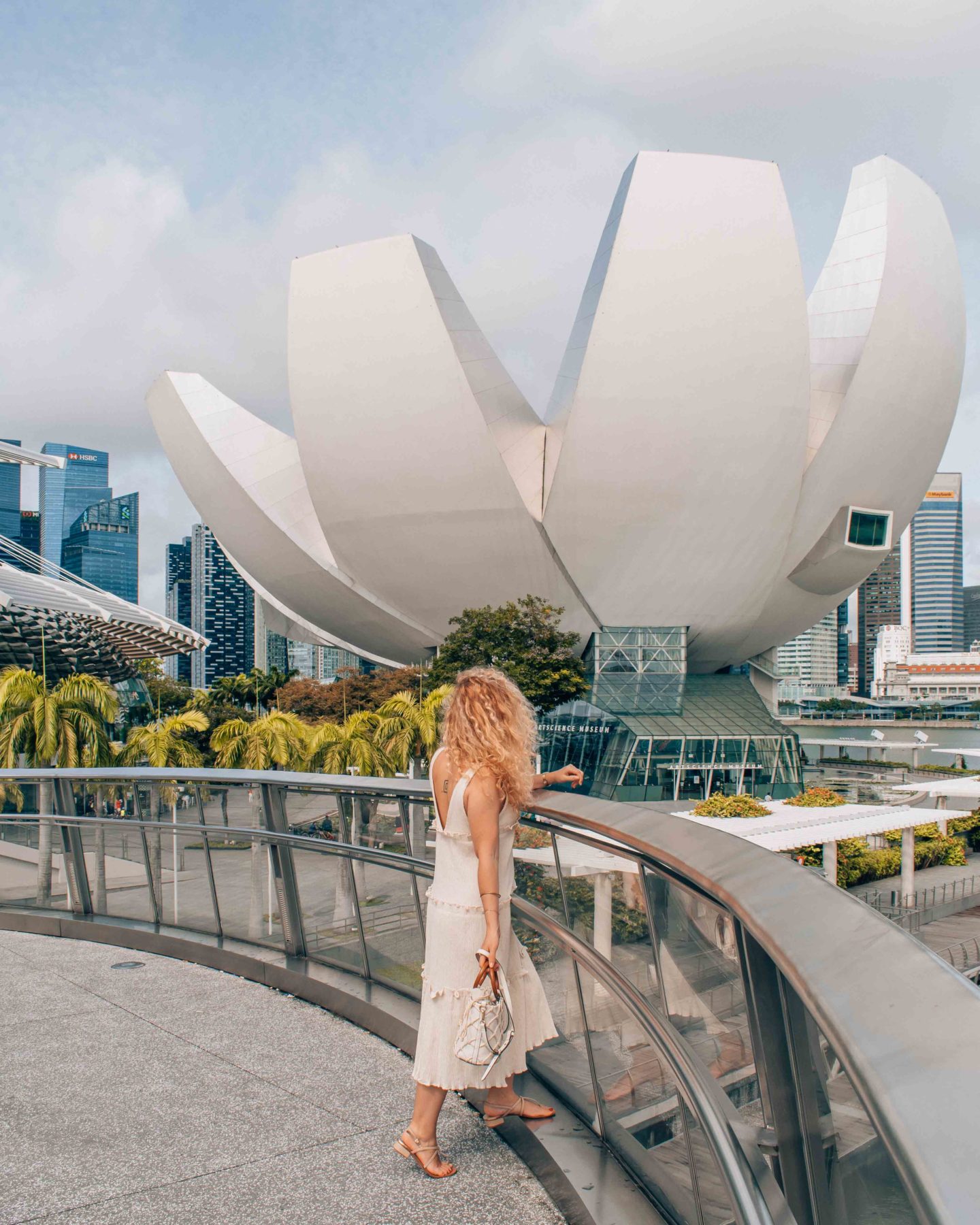 View on the Art Science Museum from the Helix Bridge, Singapore