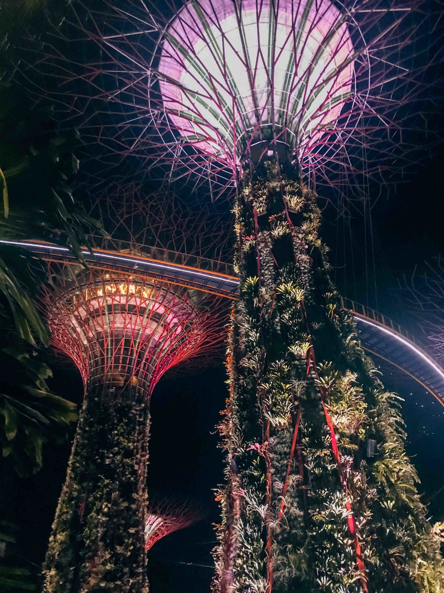 Gardens by the Bay by night