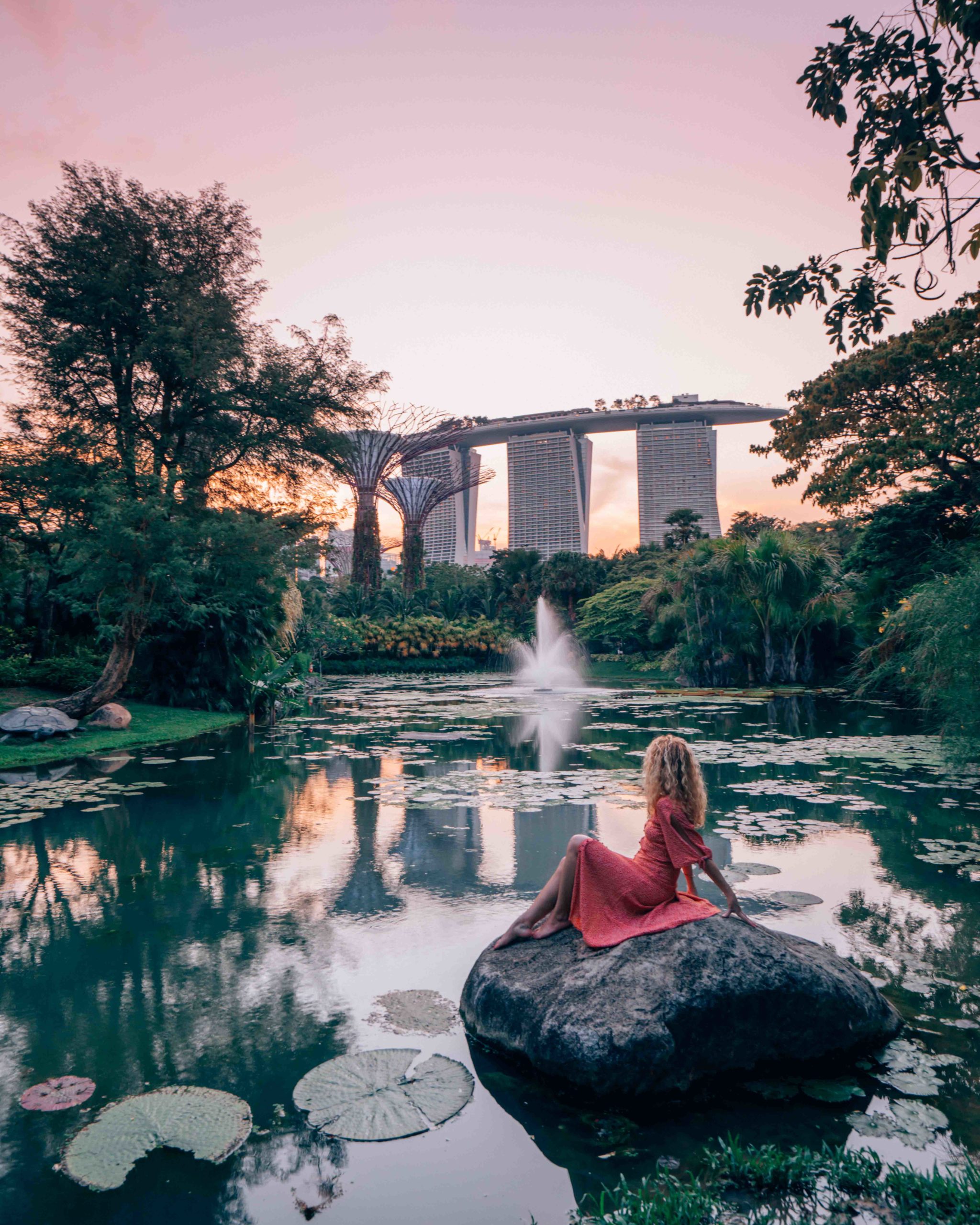 Water lily pond in Gardens by the Bay, insta spot in Singapore