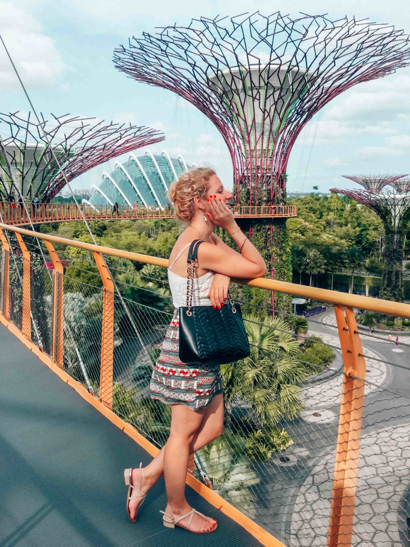 View on the Gardens by the Bay from the OCBC skyway