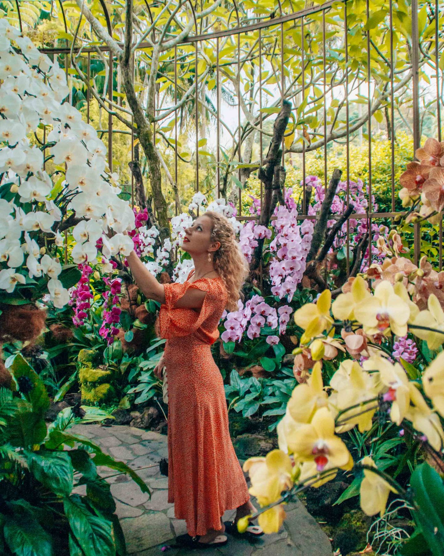 Photo spots in the National Orchid Garden, Botanic Gardens in Singapore