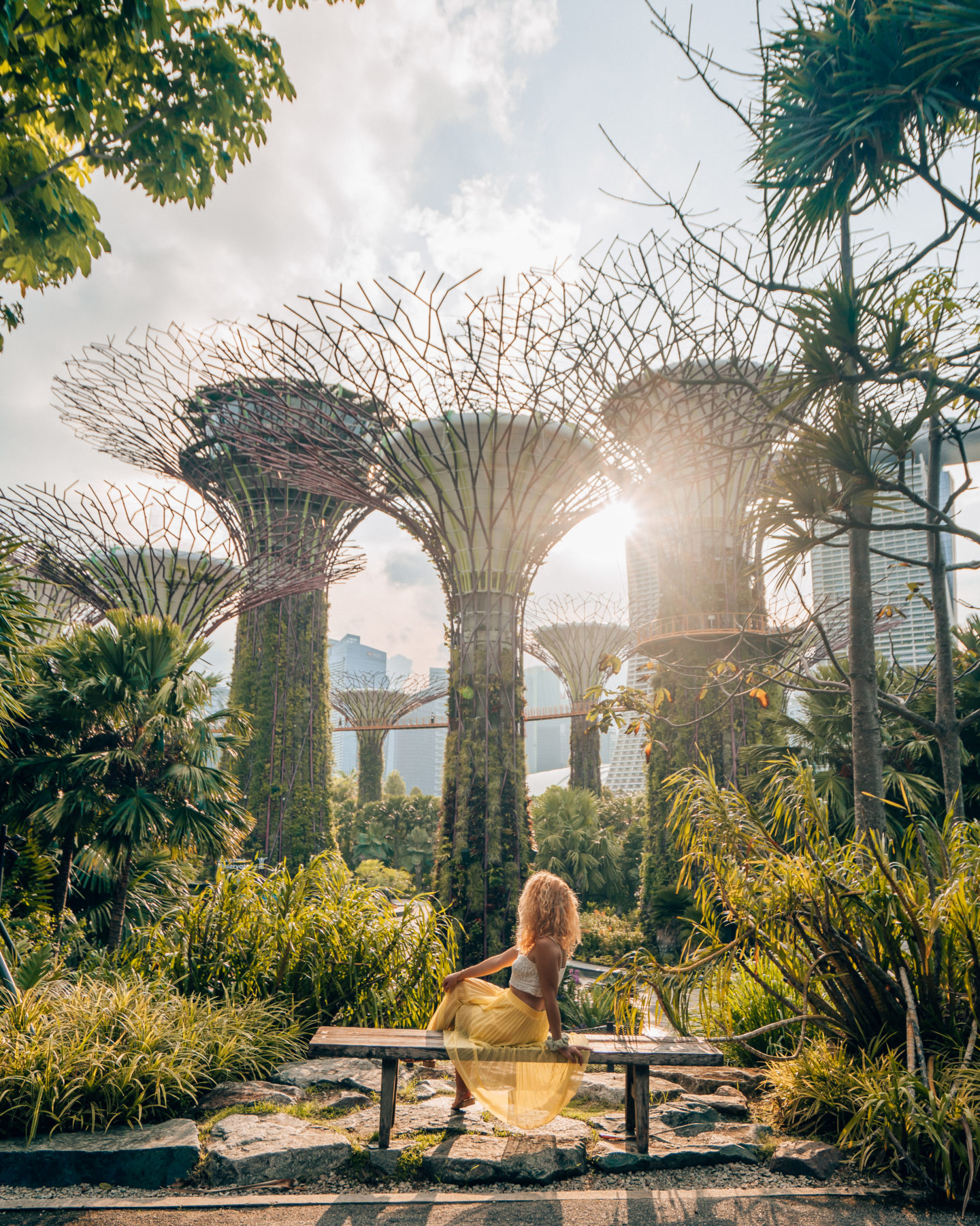 Supertree grove in Gardens by the Bay, Singapore