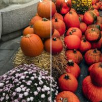 Pumpkin spice preset fall pack
