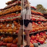 Pumpkin spice preset fall pack