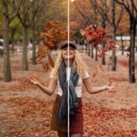 Throwing leaves preset fall pack