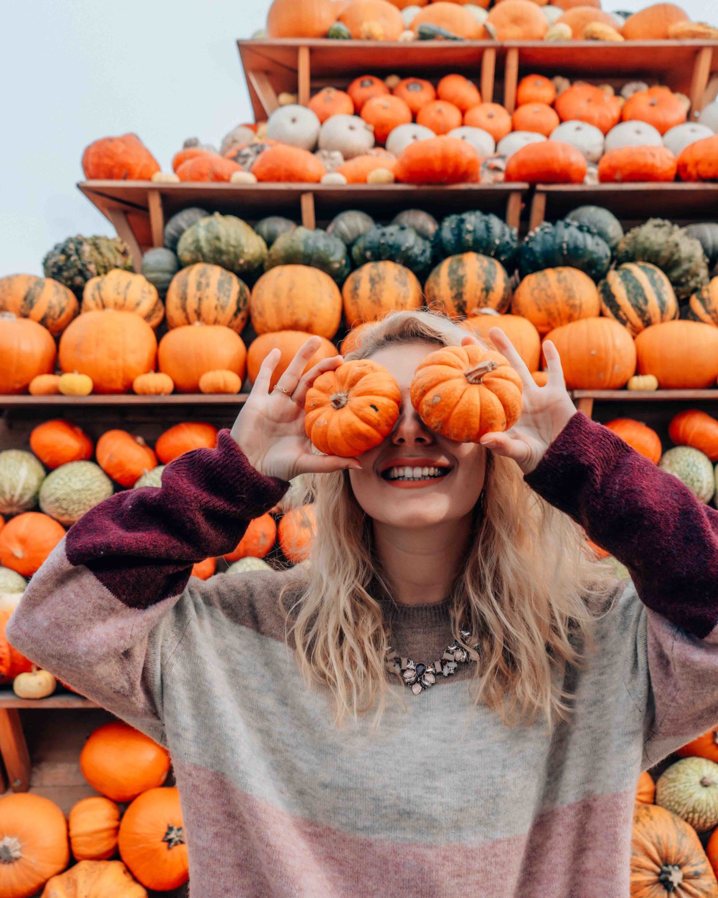 Hide & seek with pumpkins in Gertrudenhof market