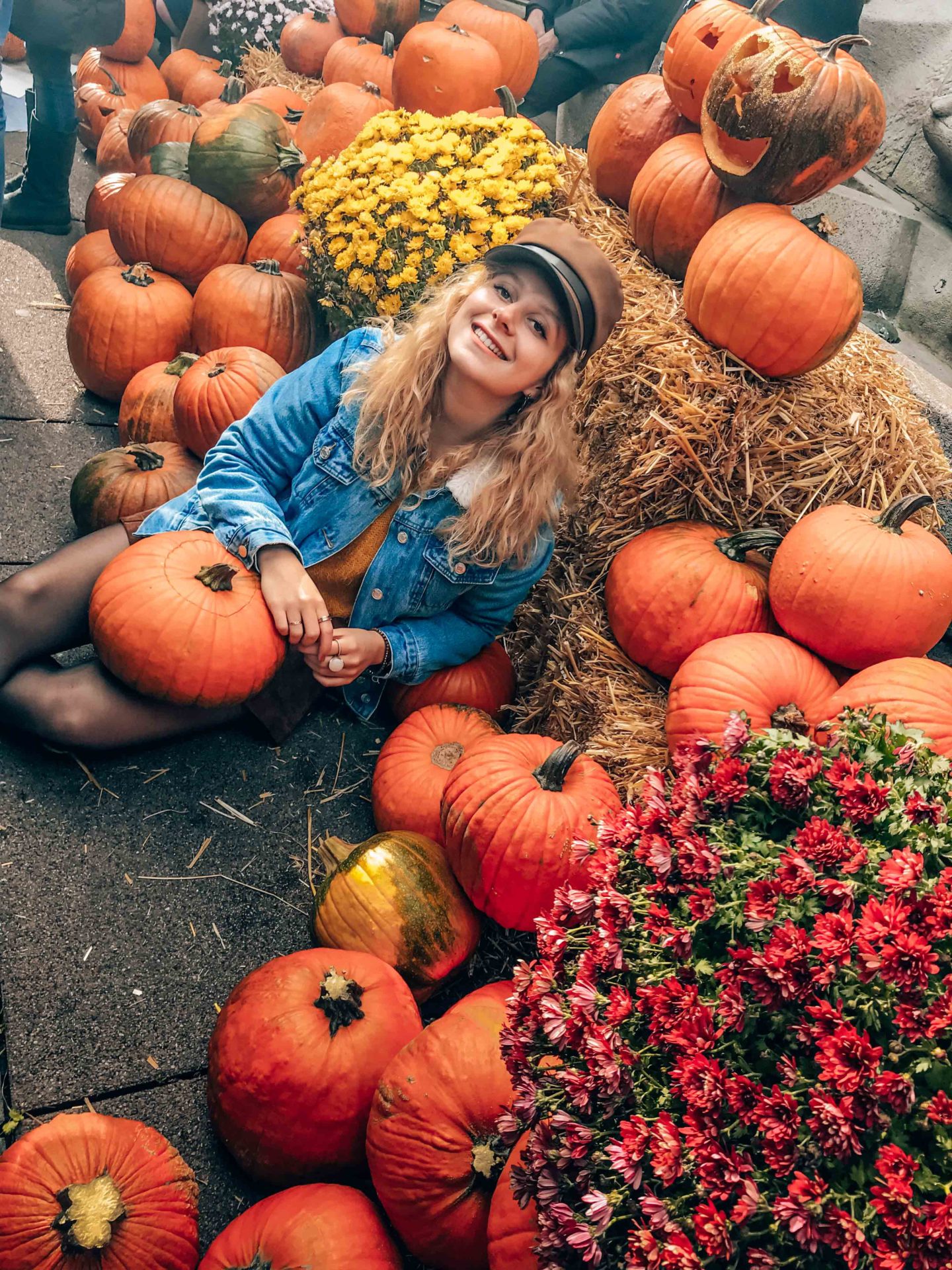 Fall pumpkin stall in Carlsplatz