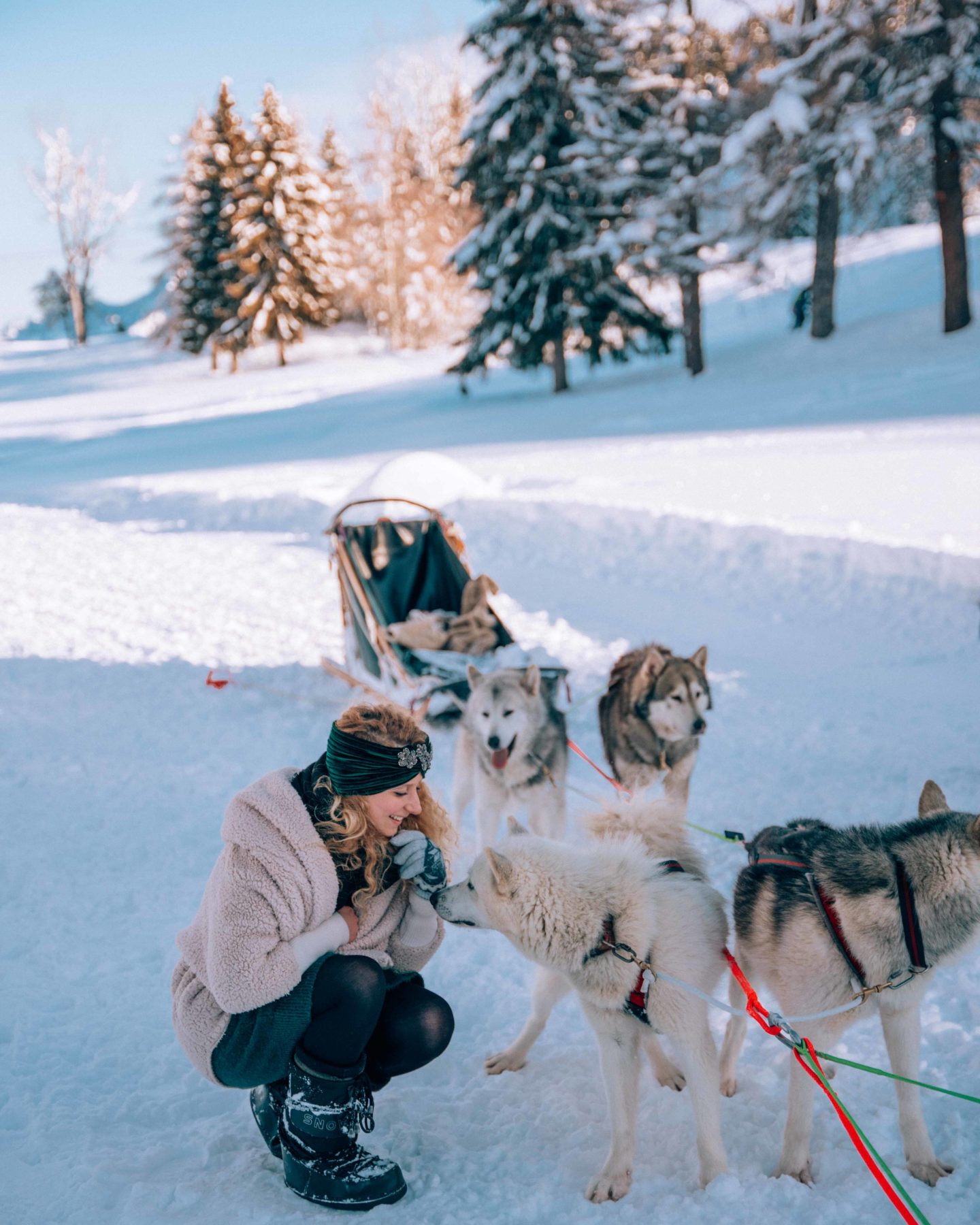 Dog sledding in the French Alps